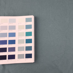 Romo, Celino Dragonfly Fabric