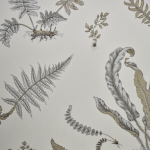 GP & J Baker, Ferns Wallpaper